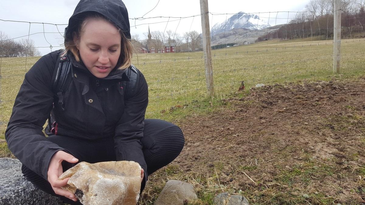 parafinklumper i fjæra Helgeland mai 2017 Malin foto AK tilpasset.jpg